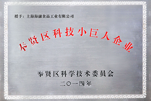 2014年上海视装科技幼巨人”企业
